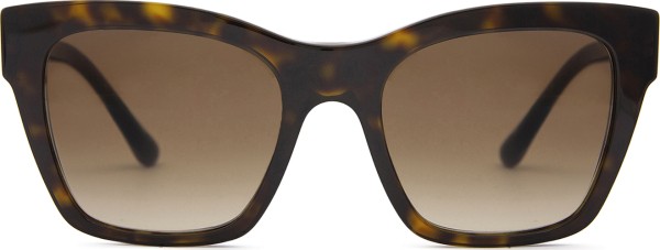 Dolce & Gabbana 0DG 4384 502/13 53