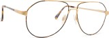 Optical Options Titanium Aviator - tortoise/gold