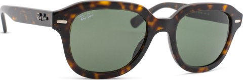 Ray-Ban Erik RB4398 902/31