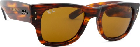 Ray-Ban Mega Wayfarer RB0840S 954/33 51